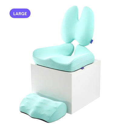 Ultimate Sitting Comfort Bundle